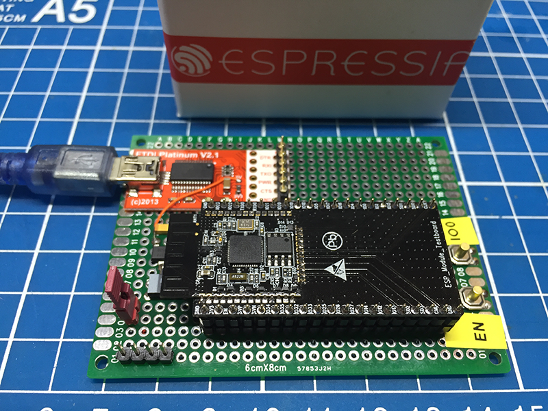 ESP31 development board